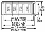 t20b